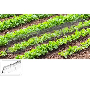 Estufa de Jardim em Túnel
