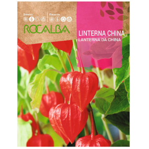 Lanterna da China