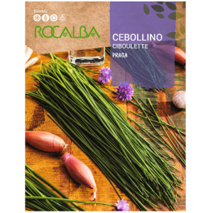 Cebolinho