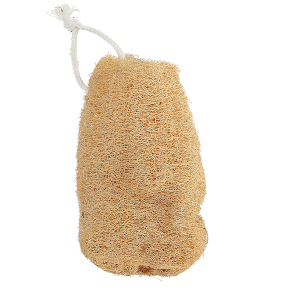 Esponja Luffa Luffa